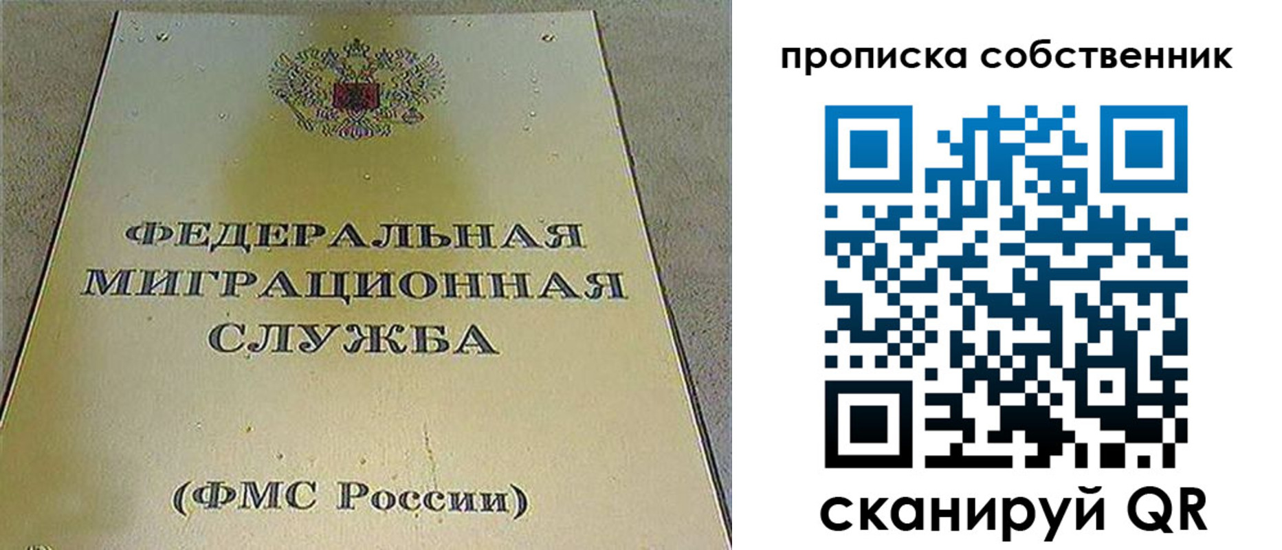 где прописаться в Коле