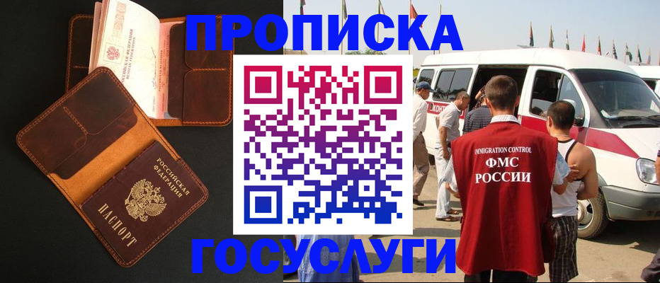 прописка законно в Коле